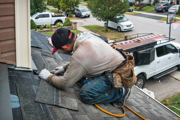 Professional Gutter Repair And Installation technician working in Leonard, MI